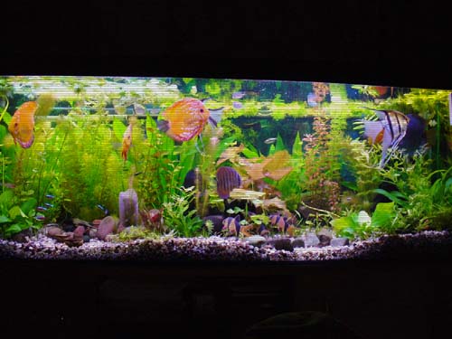 P1030147.JPG
