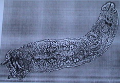 DSC00738_Größenveränderung.JPG