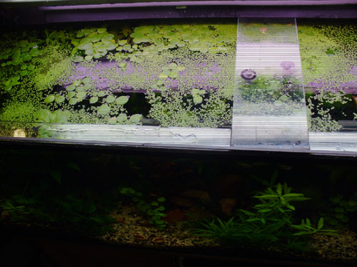 P1010045.JPG
