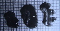 DSC00741_Größenveränderung.JPG