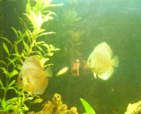 101_0069.JPG