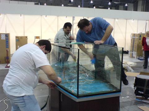 DSC00685.JPG