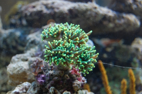 DSC_0109.JPG
