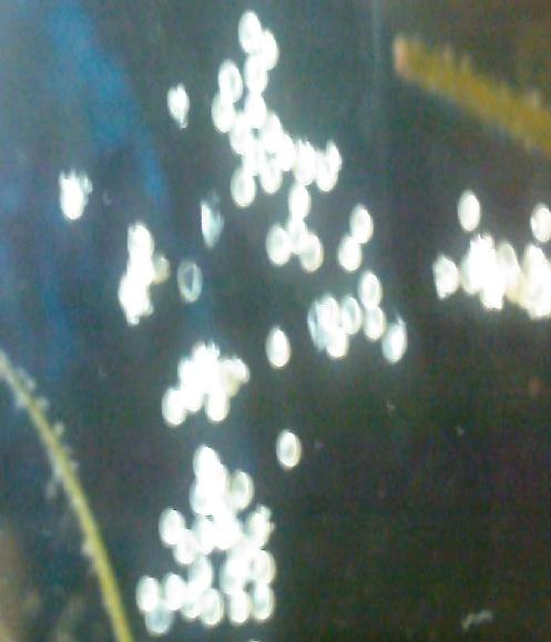DSCF2164.JPG