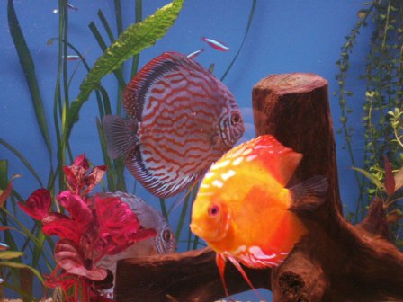 PICT00891.JPG