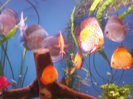 PICT01011.JPG