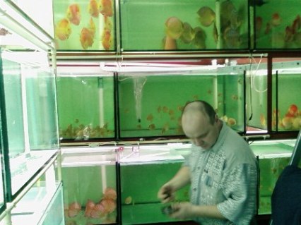 SP_A0852.jpg