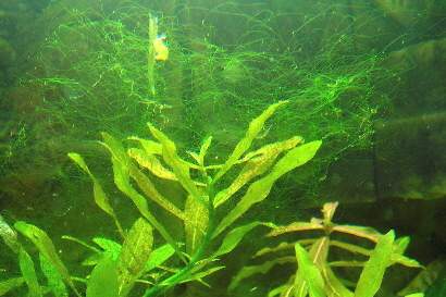 DSCN2389_1.JPG
