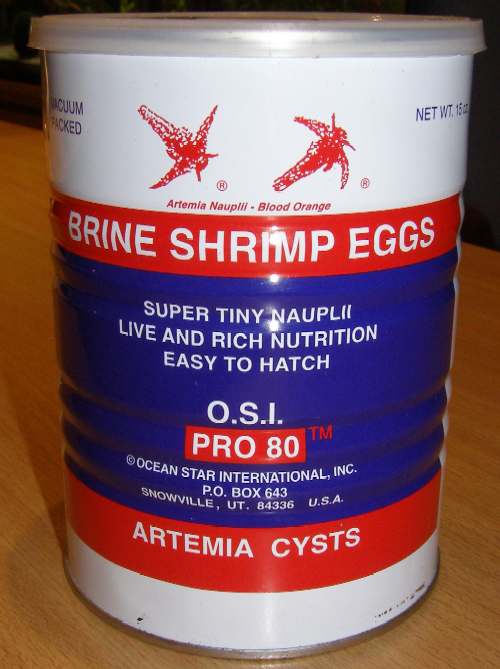 artemia.jpg
