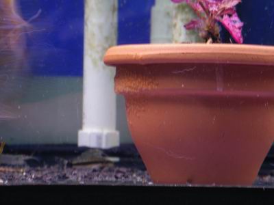 dwa dni poźniej.jpg