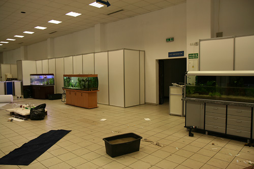 Kraków-2008-016.jpg