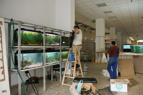Kraków-2008-028.jpg