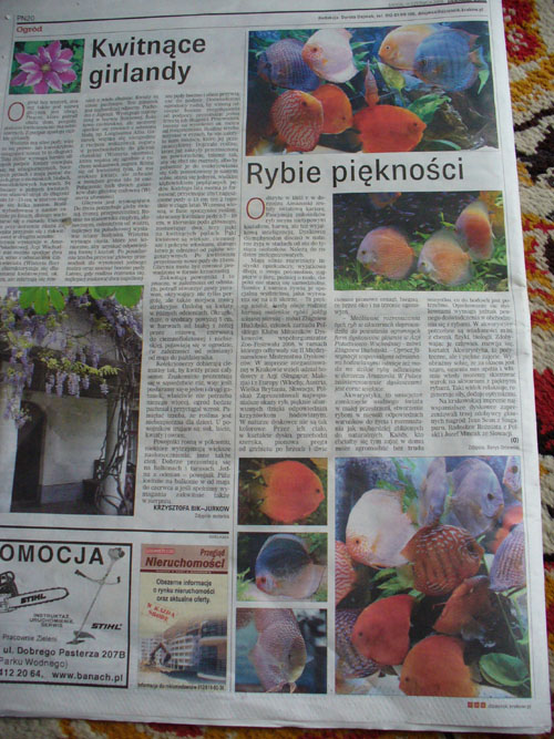 P1010595.JPG