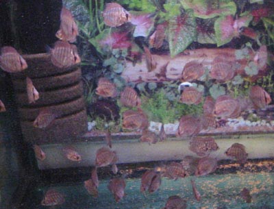 23-ci_2.jpg