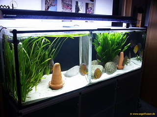 650l_020105_Größenveränderung.jpg