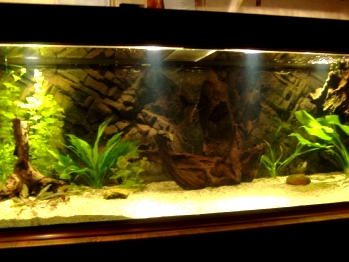DSCF2571.JPG