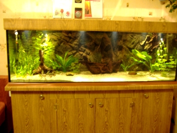 DSCF2564.JPG