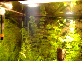 DSCF2573.JPG