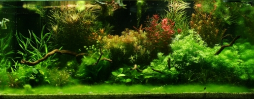 13.05.08.jpg