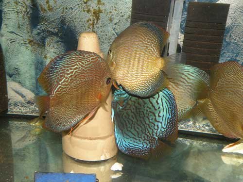 8,2008-014.jpg
