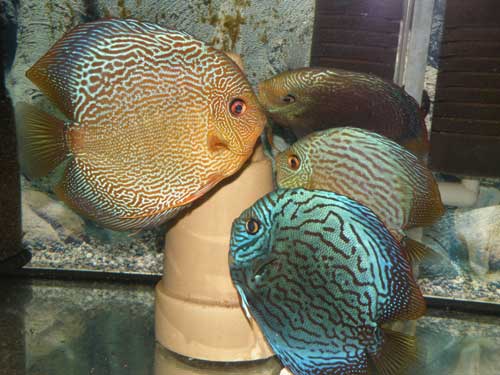 8,2008-007.jpg