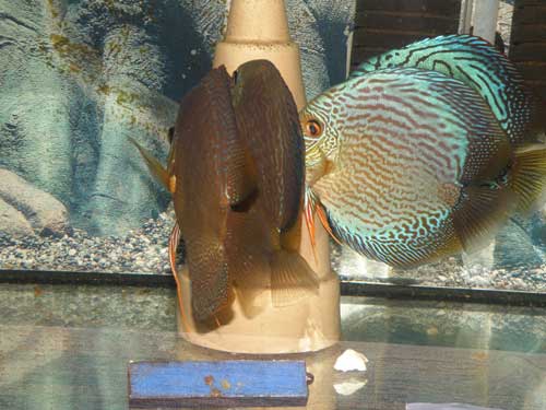 8,2008-061.jpg