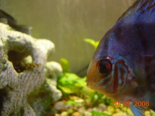 DSCN3247.JPG