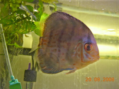 DSCN3271.JPG