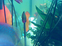 20081102016_edited-2.jpg