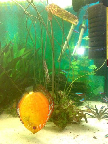 20081104024_edited-1.jpg