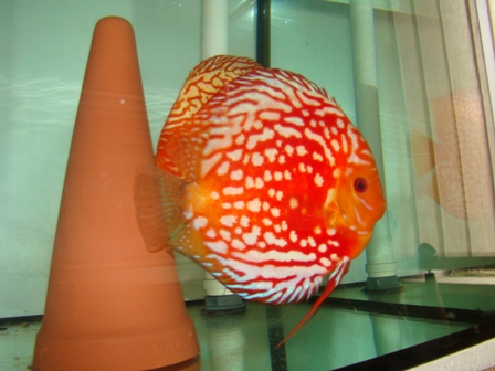 DSC03818.JPG
