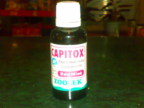 20081205053.jpg