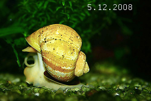 5.12.2008.jpg