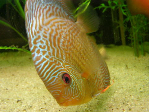 PC310029.JPG