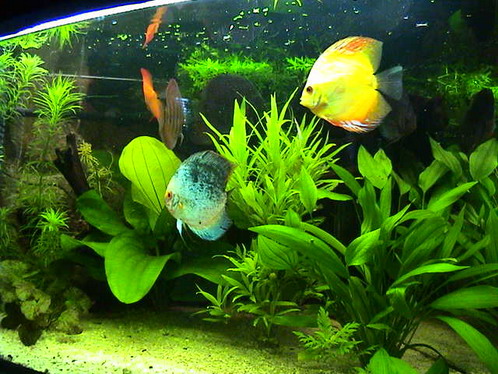 akwa po restarcie 011.jpg