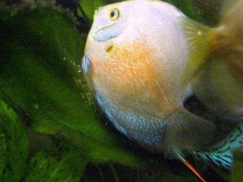 P1020095.JPG