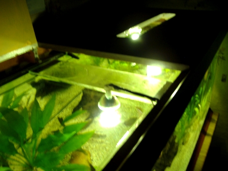DSCF3150.JPG