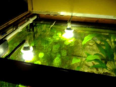 DSCF3148.JPG