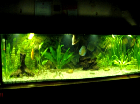 DSCF3152.JPG