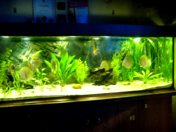 DSCF3201.JPG