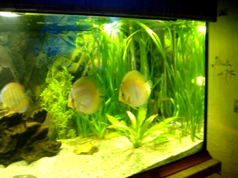 DSCF3200.JPG