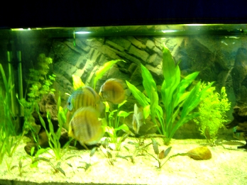 DSCF3198.JPG