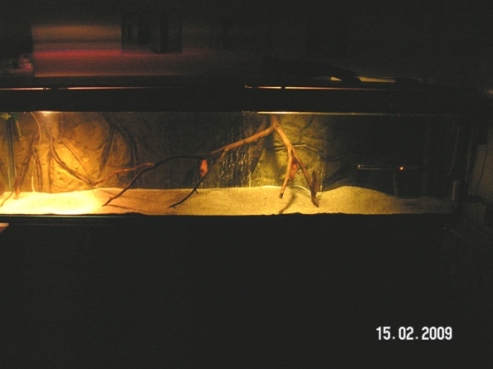 PICT0010.jpg