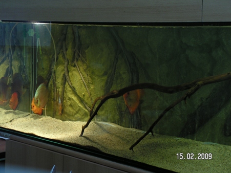 PICT0005.jpg