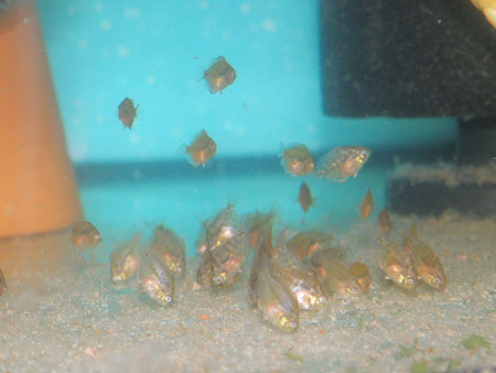 22,02,2009-004.jpg