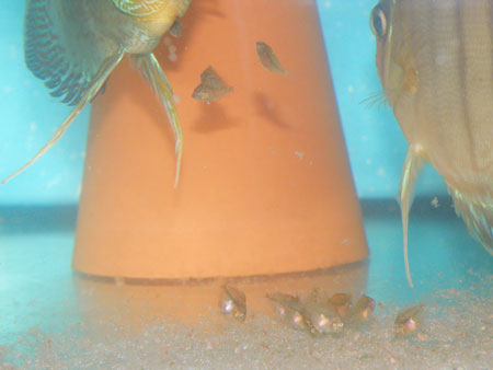 22,02,2009-005.jpg