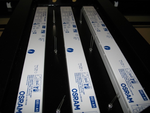 Przed okablowaniem.jpg