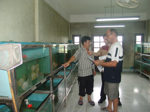 DSC03333.jpg