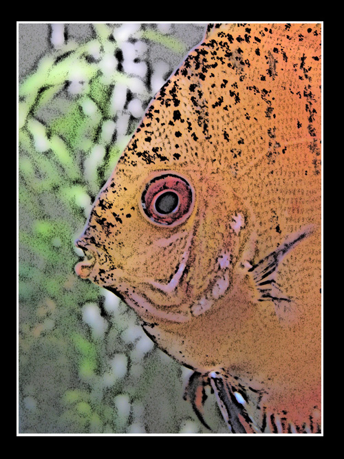 IMG_1415.jpg