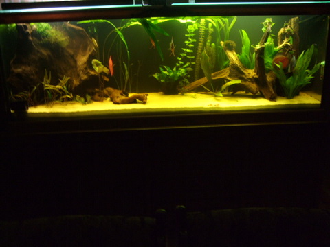 DSCF2041.JPG